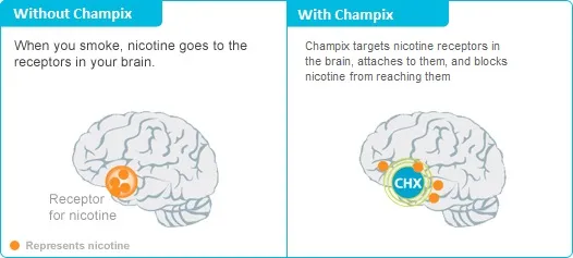 How Champix Works